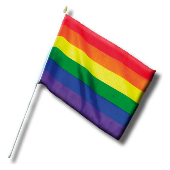 Small Lgbt Pride Banner