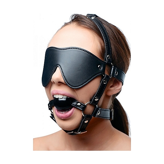 HARNESS WITH MASK AND GAG