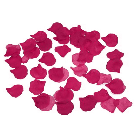 100 Fuscia Colored Petals